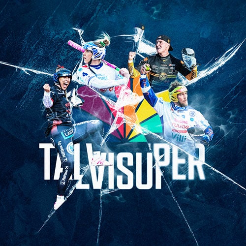 Talvisuper